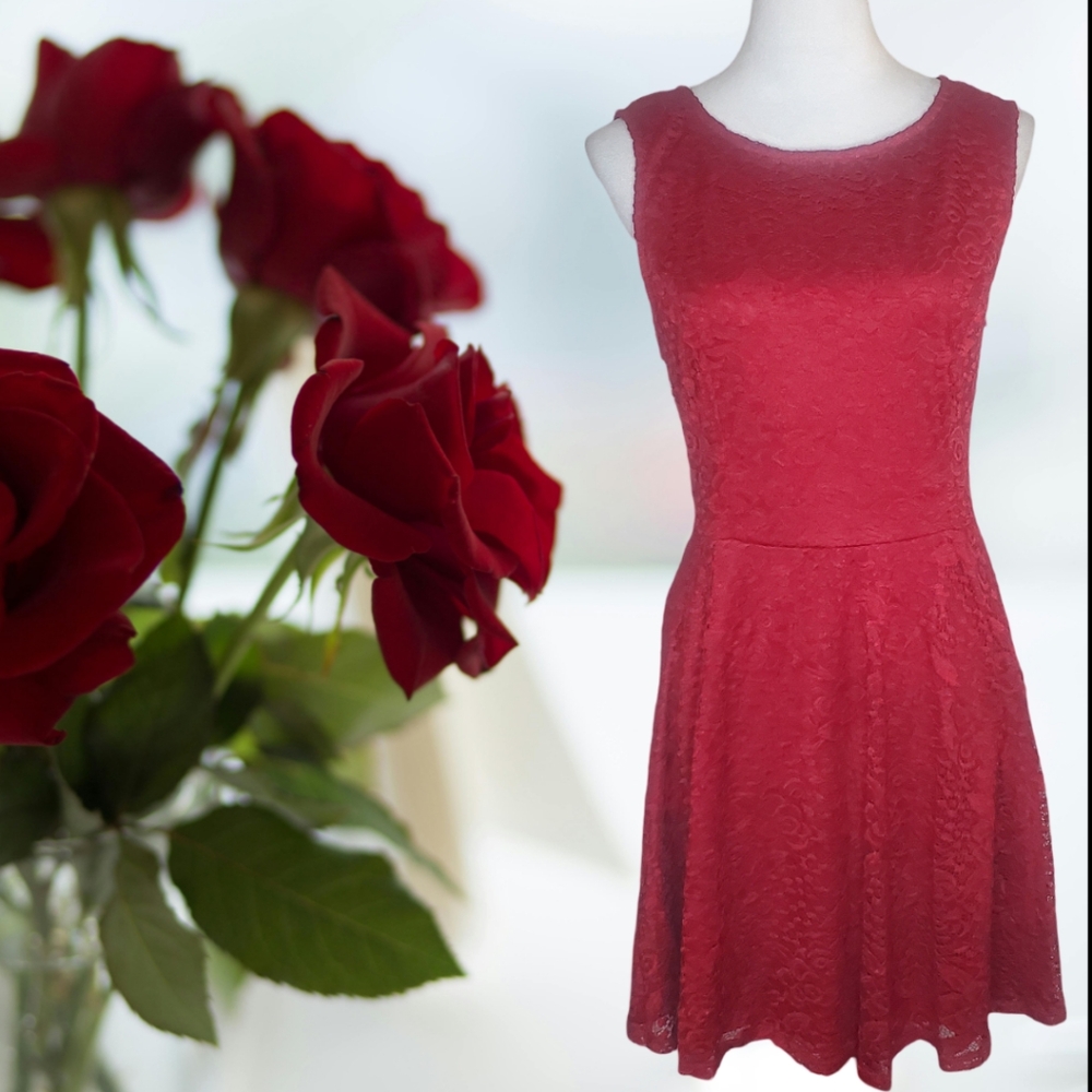 City Triangles Plus Size Lace Roses Overlay Fully Lined Dress